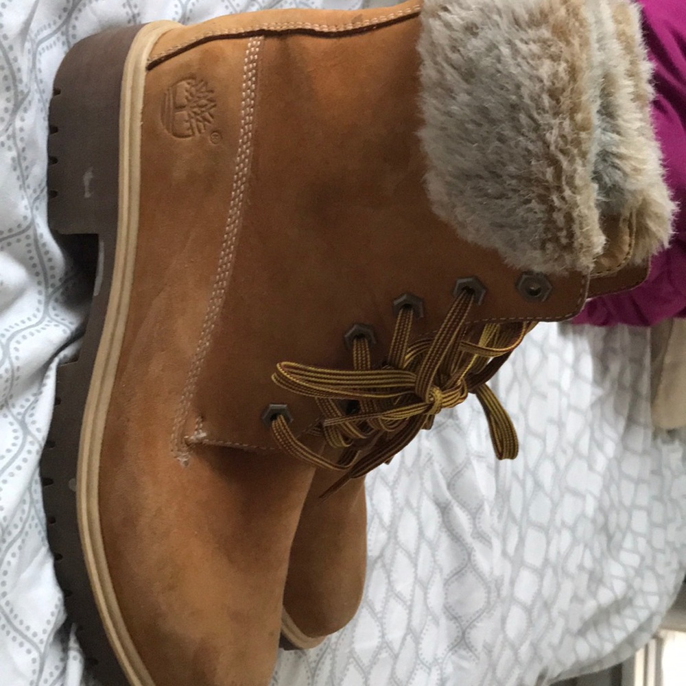 Wheat timberlands